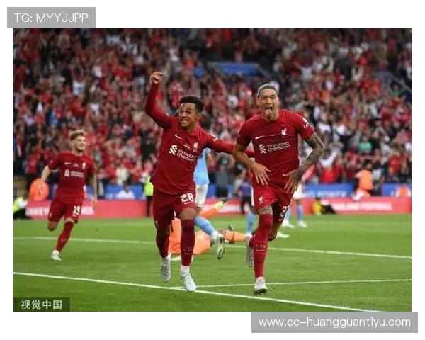 努涅斯战术角色适配性分析：是否被体系所局限？