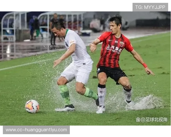 天气中断对足球比赛判罚和规则有哪些不为人知的细节？