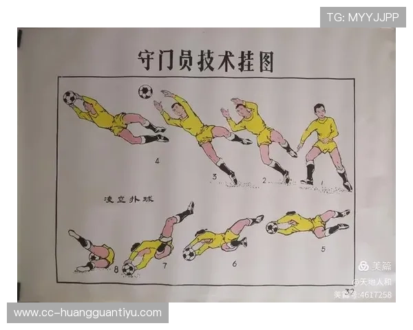 掷界外球的规则详解及正确判罚标准解析